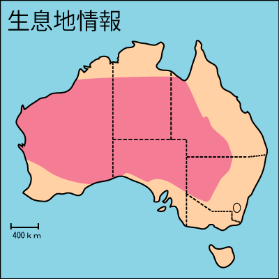 Red Kangaroo　アカカンガルー生息地地図